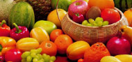 CEOS Human Nutrition and Food Science
