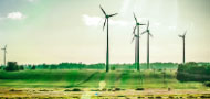 CEOS Environmental Science and Ecology