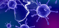 CEOS Cancer Biology and Research