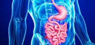 CEOS Gastroenterology and Hepatology
