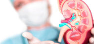 CEOS Urology and Research