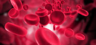 CEOS Hematology and Transfusion